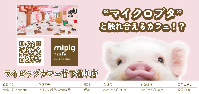 mipig cafe