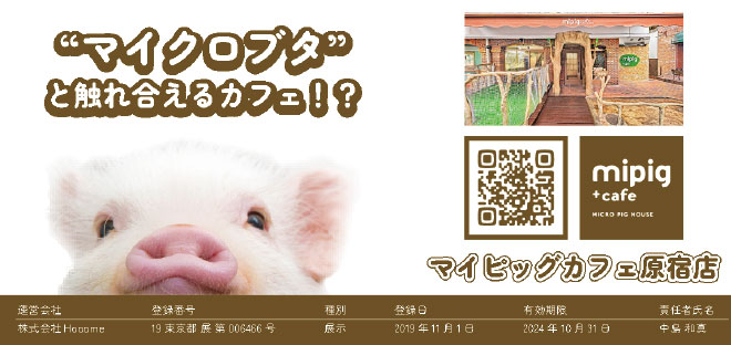 mipig cafe
