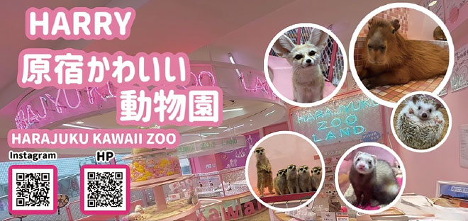HARRY原宿かわいい動物園店